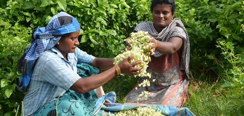 Alstom foundation in India