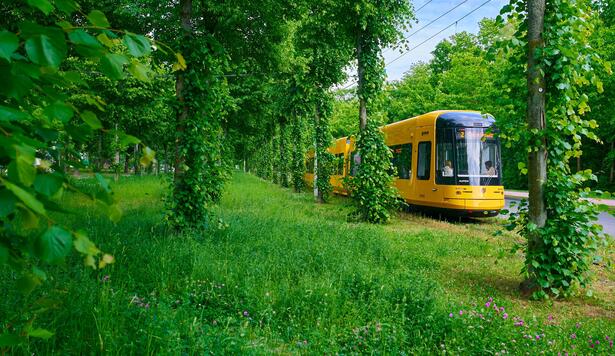 Alstom Flexity Tram Dresden